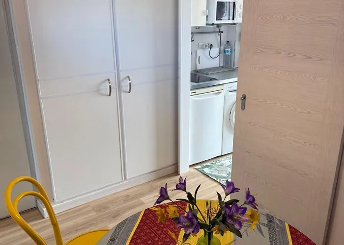 Valle Luz Ocean View Appartamento *